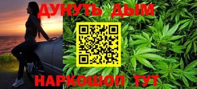 крисы Новокубанск