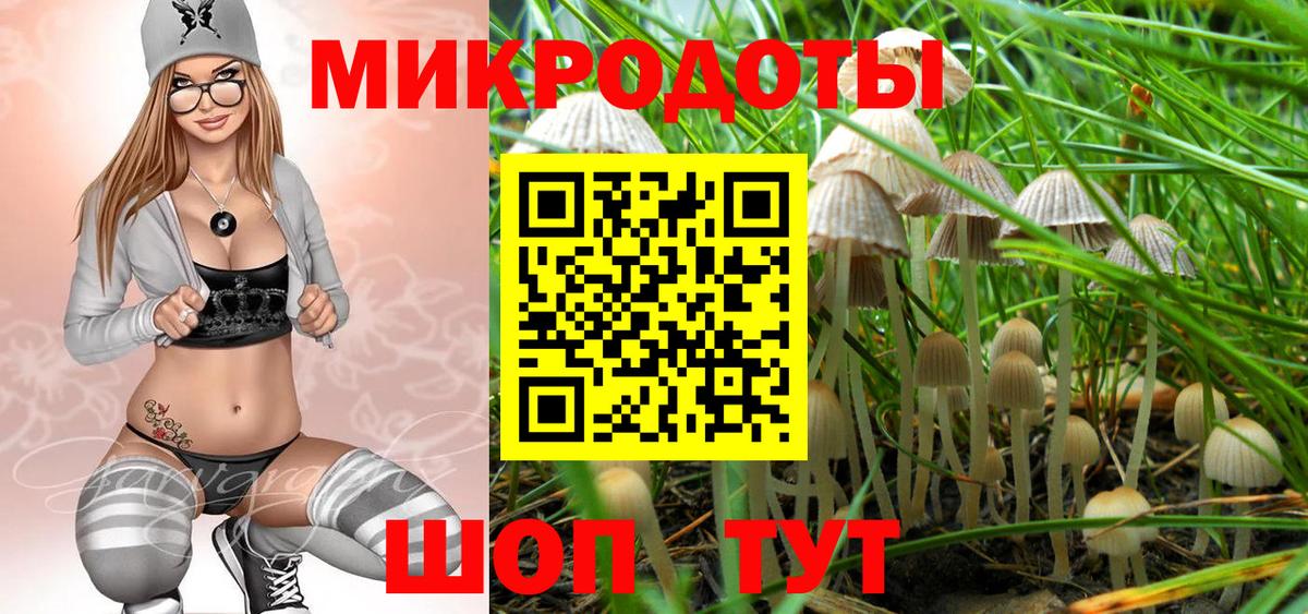 купить наркотики сайты  Псилоцибиновые грибы GOLDEN TEACHER  Псилоцибиновые грибы MAGIC MUSHROOMS  Вход с VPN  Тамбов 